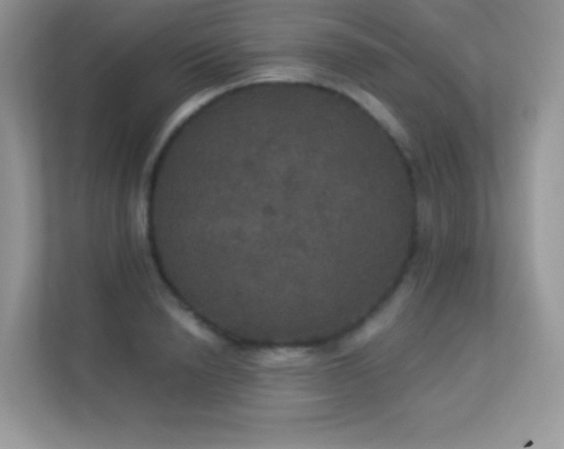 X0000113550846200909251036