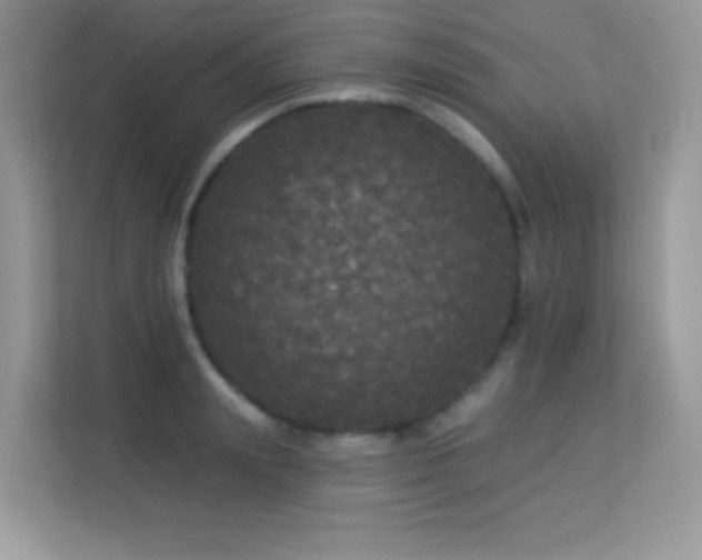 X0000113550847200909251036