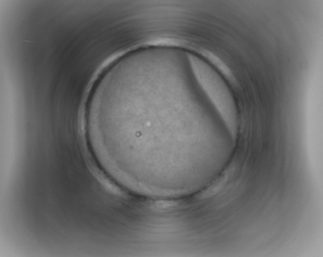 X0000113550848200909251036