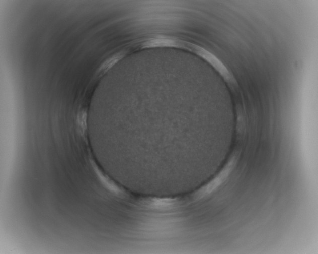 X0000113550849200909251036