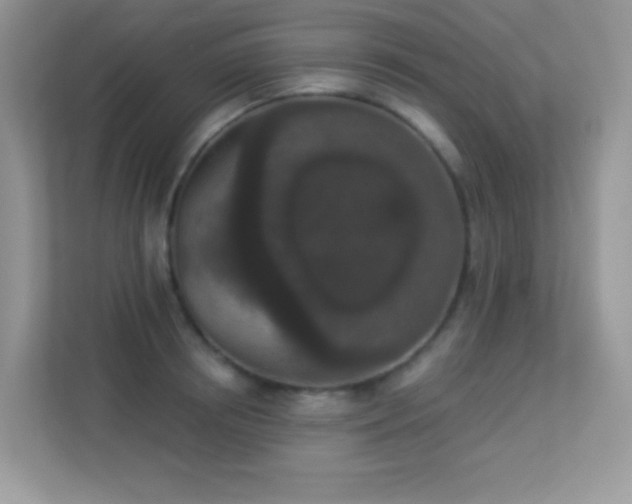 X0000113550850200909251036