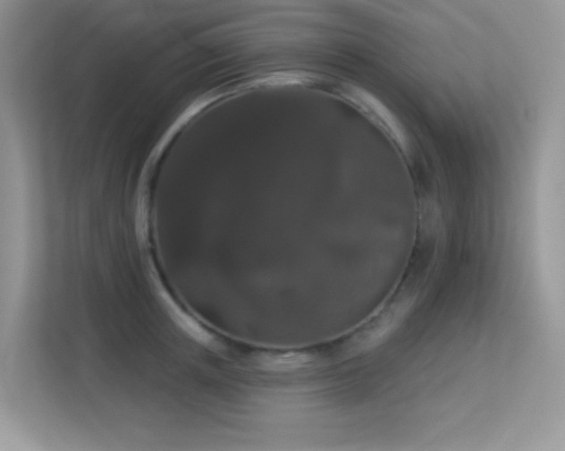 X0000113550851200909251036