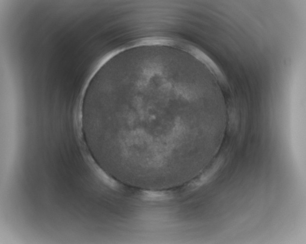 X0000113550852200909251036