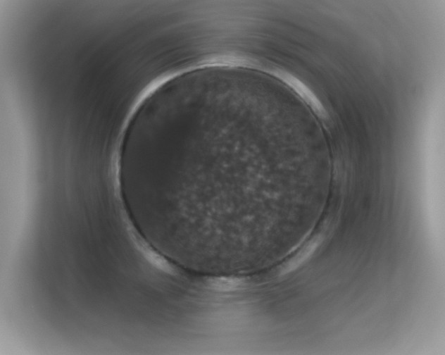 X0000113550854200909251036