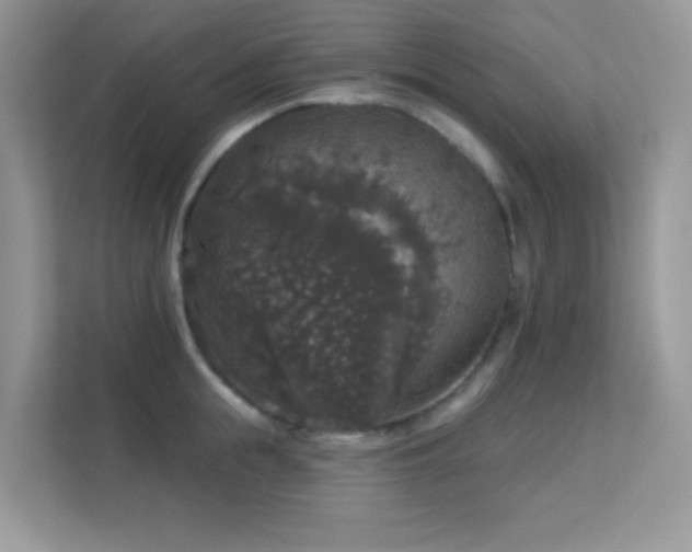 X0000113550855200909251036