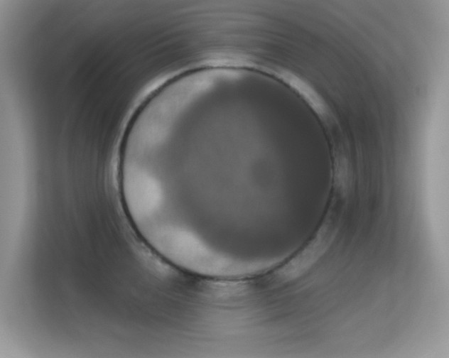 X0000113550856200909251036