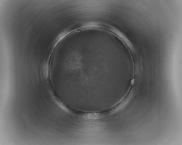 X0000113550858200909251036