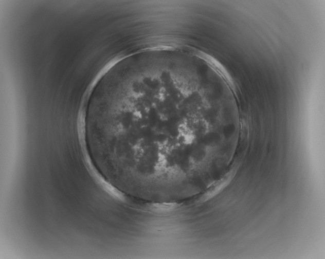 X0000113550859200909251036