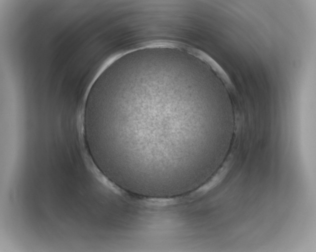 X0000113550860200909251036