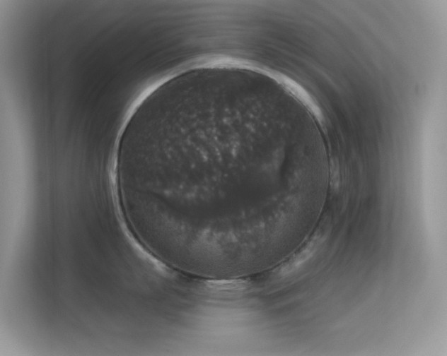 X0000113550863200909251036