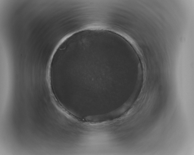 X0000113550864200909251036