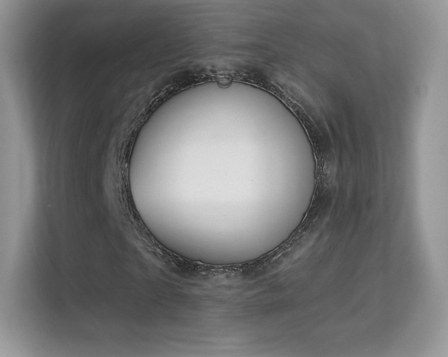 X0000113550865200909251036