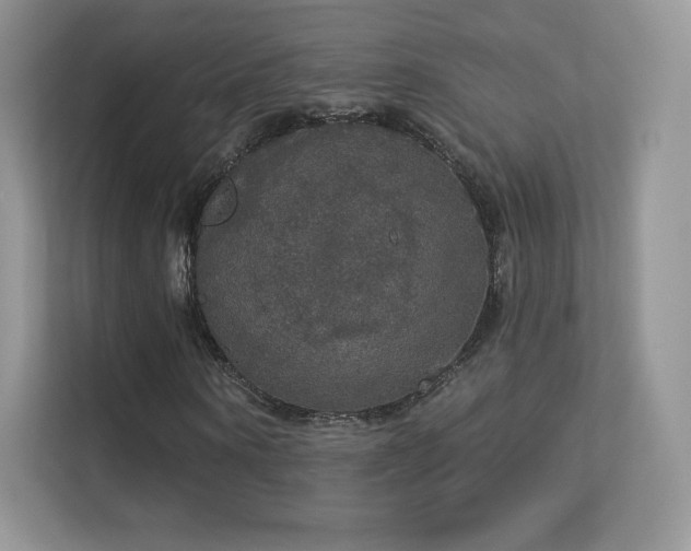 X0000113550866200909251036