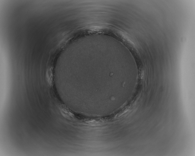 X0000113550868200909251036