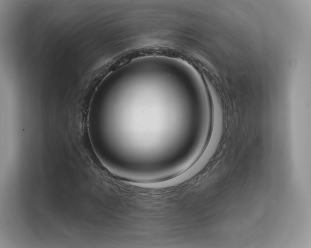 X0000113550869200909251036