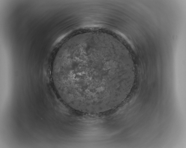 X0000113550871200909251036