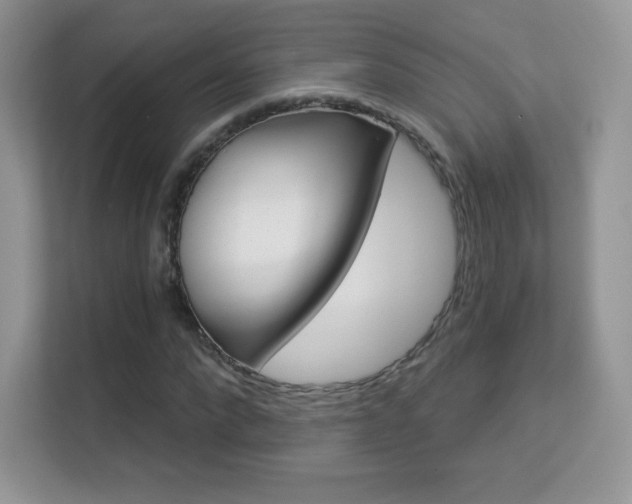 X0000113550872200909251036