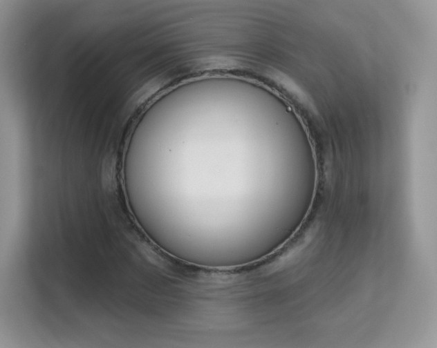 X0000113550873200909251036