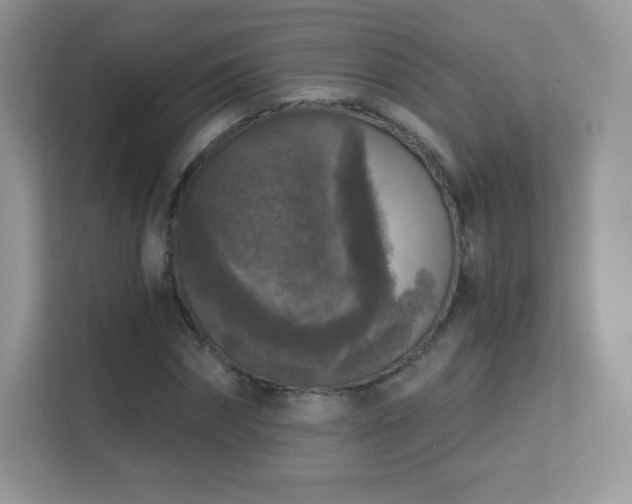 X0000113550874200909251036