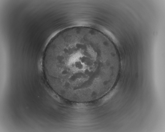 X0000113550875200909251036