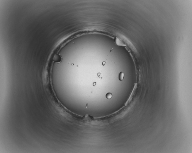 X0000113550876200909251036