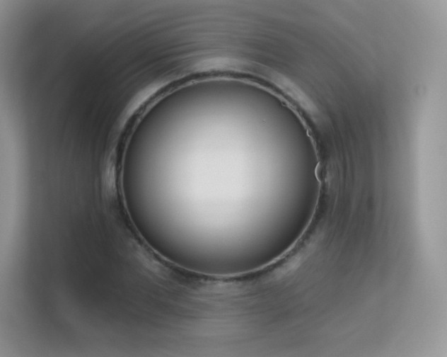 X0000113550877200909251036