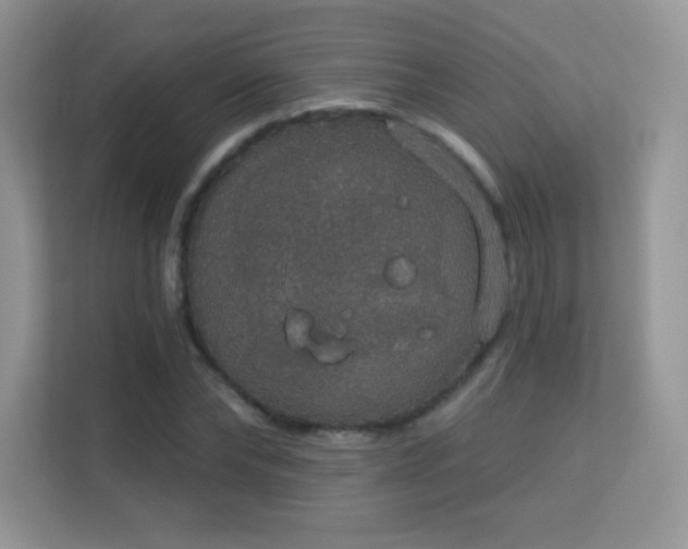 X0000113550878200909251036