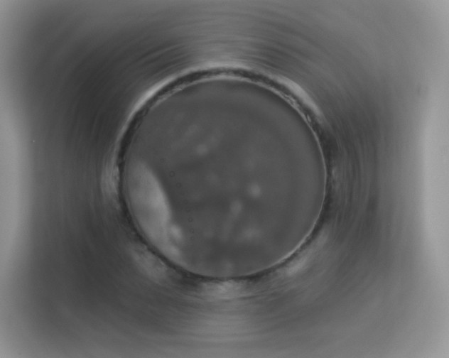 X0000113550879200909251036