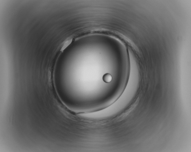 X0000113550881200909251035