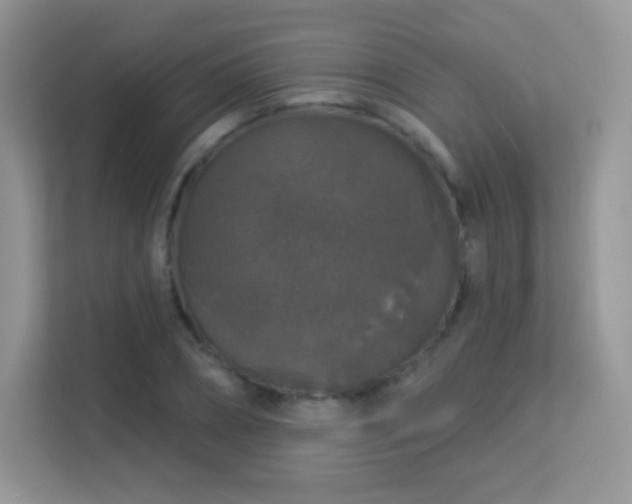 X0000113550882200909251035