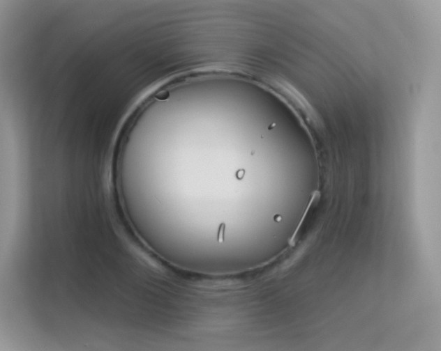 X0000113550884200909251035