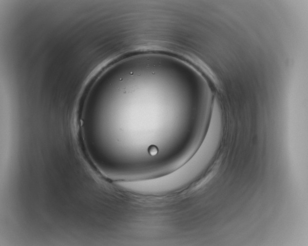 X0000113550885200909251035