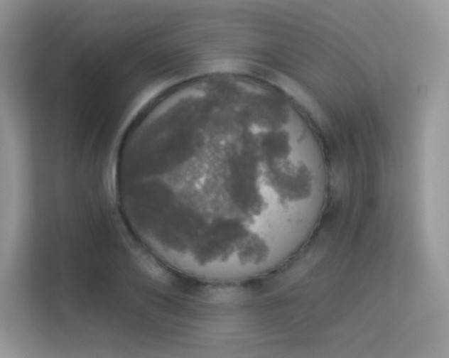 X0000113550886200909251035