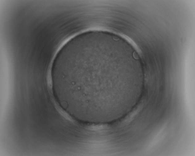 X0000113550887200909251035