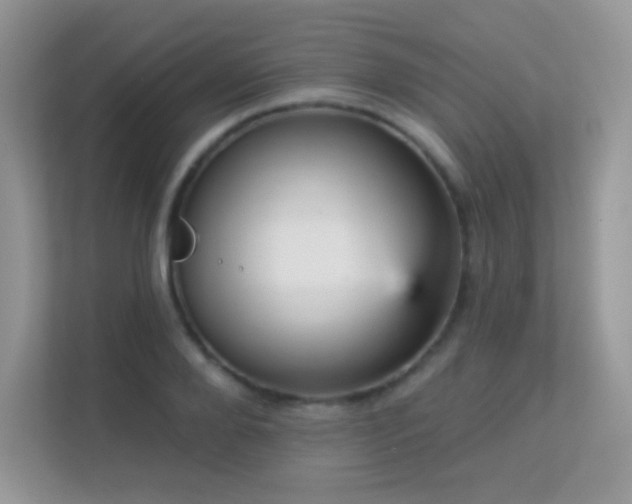 X0000113550888200909251035