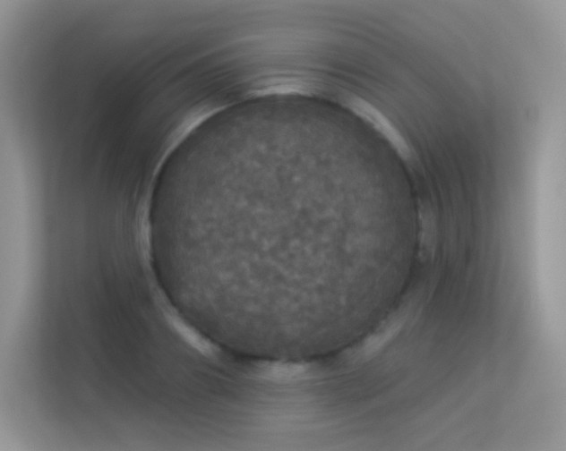 X0000113550890200909251035