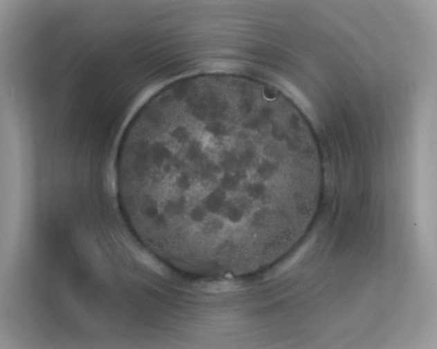 X0000113550891200909251035