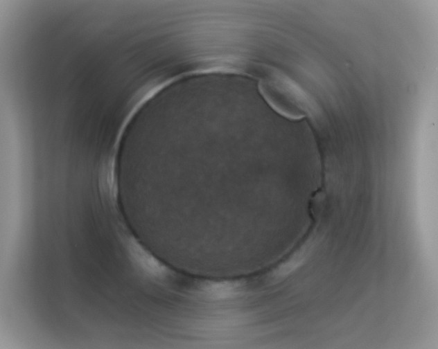 X0000113550892200909251035