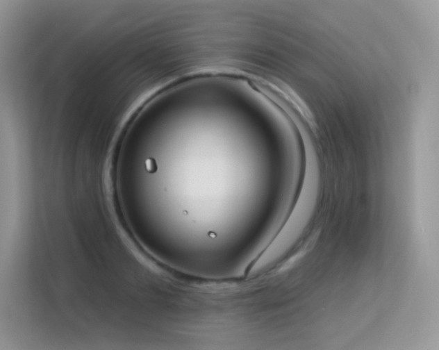 X0000113550893200909251035