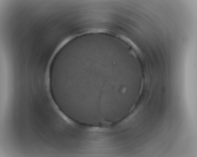 X0000113550894200909251035