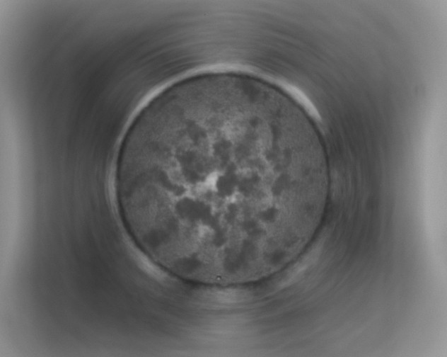 X0000113550895200909251035