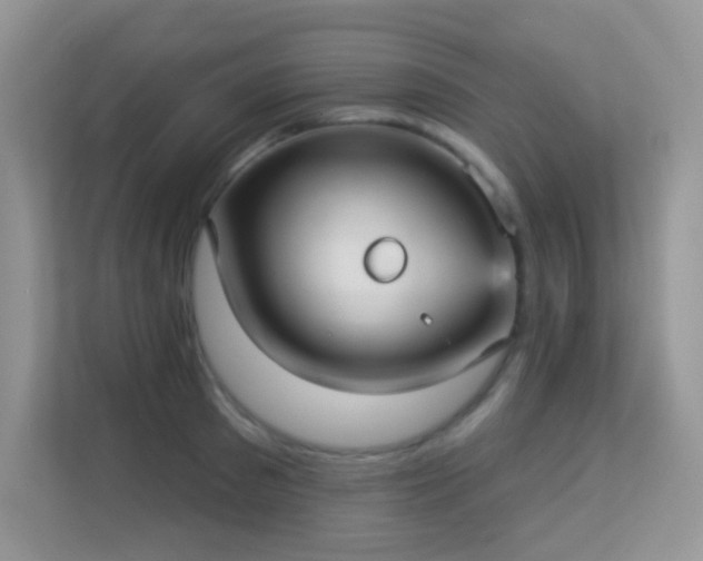 X0000113550897200909251035