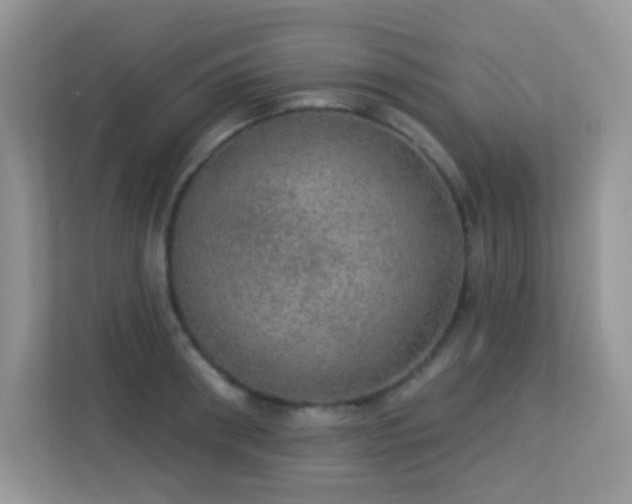 X0000113550898200909251035