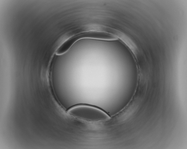 X0000113550901200909251035