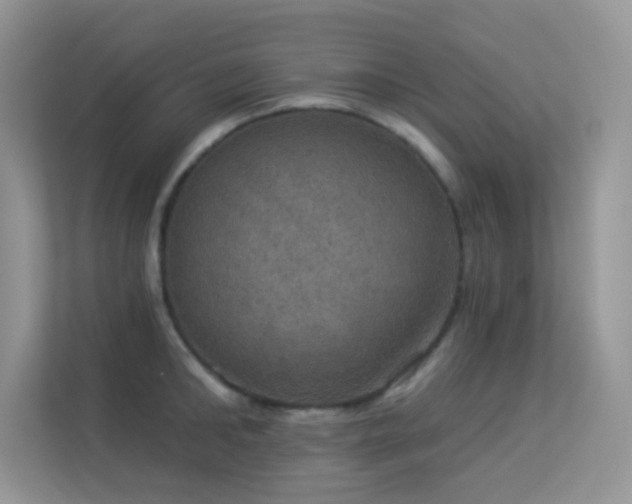 X0000113550902200909251035