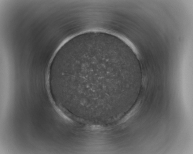 X0000113550903200909251035