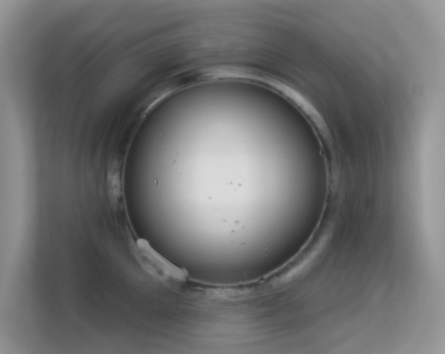 X0000113550905200909251035