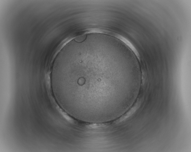 X0000113550906200909251035