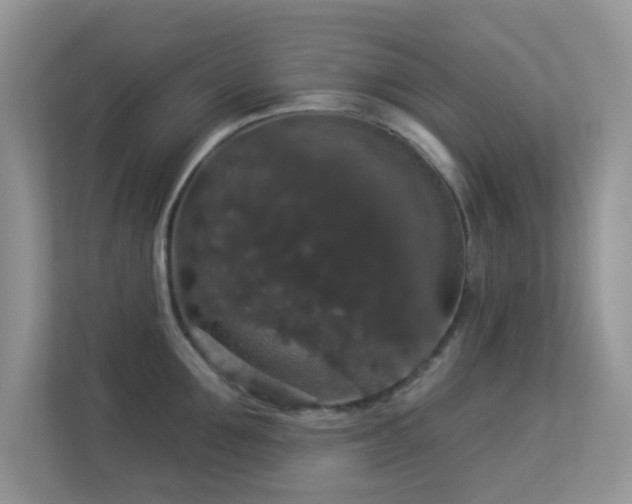 X0000113550907200909251035