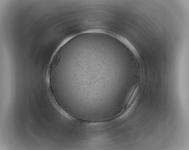 X0000113550908200909251035